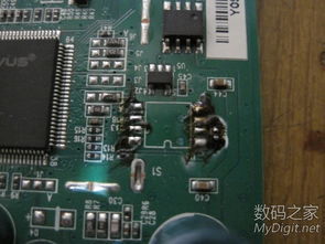 中興光貓固件升級與硬件銷售 電腦軟硬派的技術融合與市場機遇